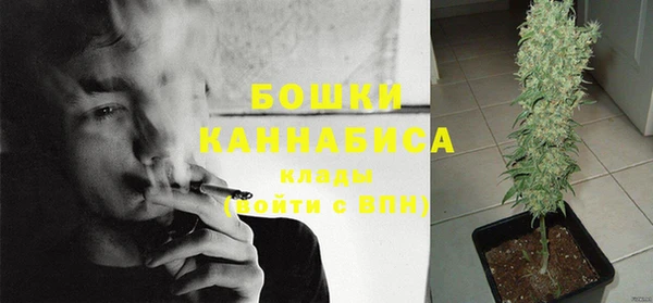 молекула духа Бугульма