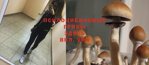 ГАЛЛЮЦИНОГЕННЫЕ ГРИБЫ Бородино