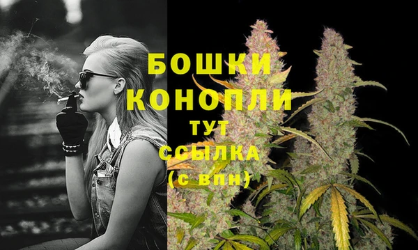 ГАЛЛЮЦИНОГЕННЫЕ ГРИБЫ Бородино