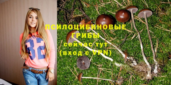 ГАЛЛЮЦИНОГЕННЫЕ ГРИБЫ Бородино