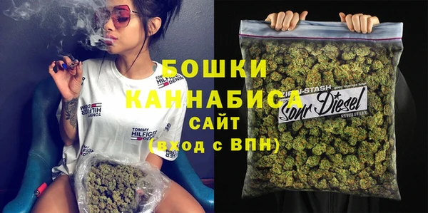ГАЛЛЮЦИНОГЕННЫЕ ГРИБЫ Бородино