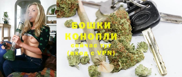 ГАЛЛЮЦИНОГЕННЫЕ ГРИБЫ Бородино