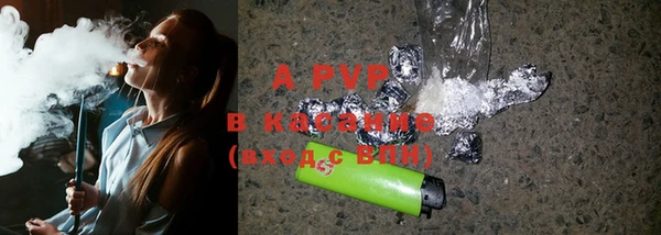 ГАЛЛЮЦИНОГЕННЫЕ ГРИБЫ Бородино