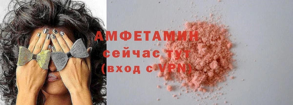 ГАЛЛЮЦИНОГЕННЫЕ ГРИБЫ Бородино