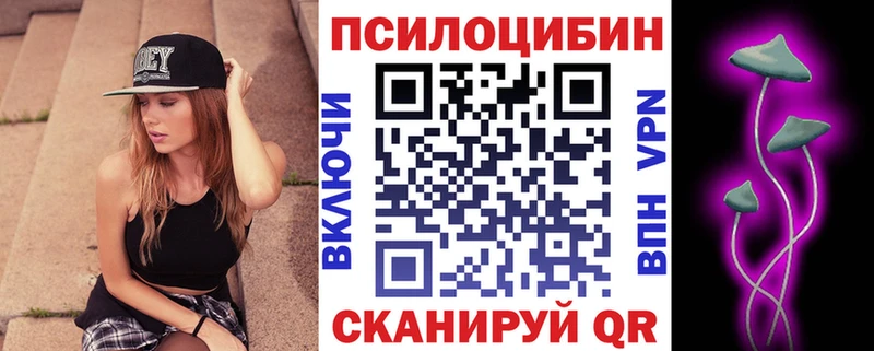 Псилоцибиновые грибы прущие грибы  KRAKEN tor  Грязи  купить наркотик 